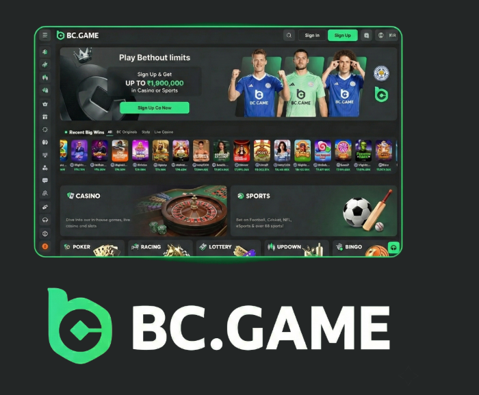 Understanding Chanze Casino Privacy Your Guide to Safe Gaming Understanding Chanze Casino Privacy Your Guide to Safe Gaming